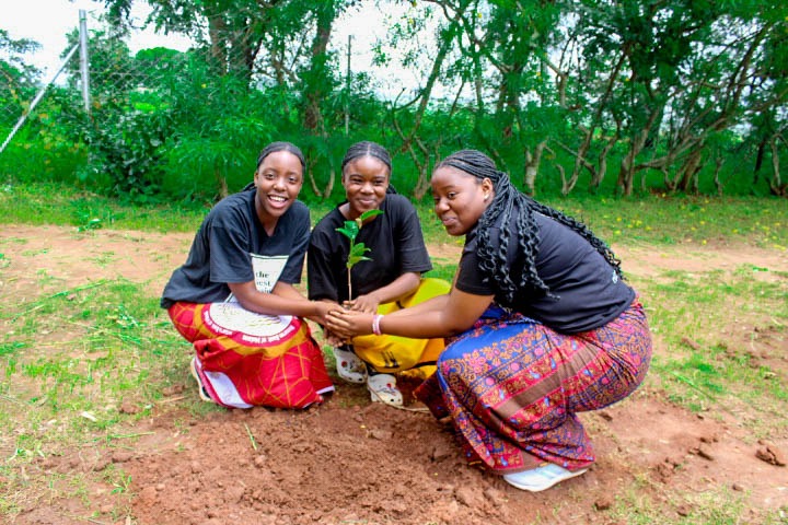 Kamuzu Academy Annual Tree Planting exercise 2025 - Image 4